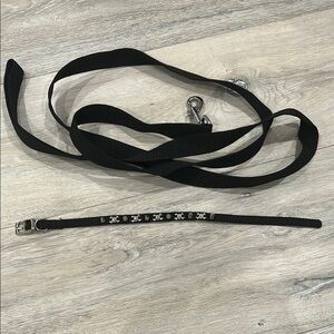 Black Dog skull Collar with studs and black Leash Set